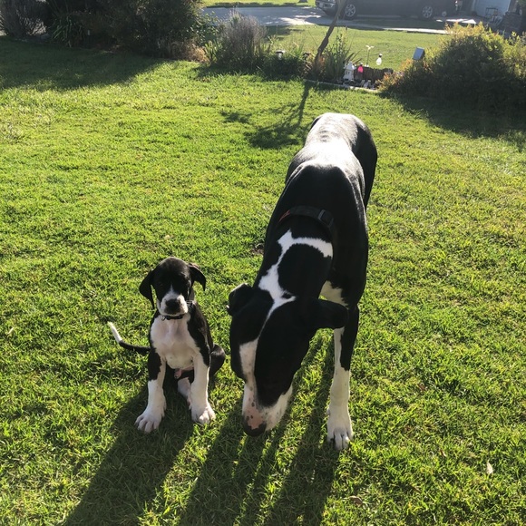 Meet your Posher, AC - Picture 5 of 7